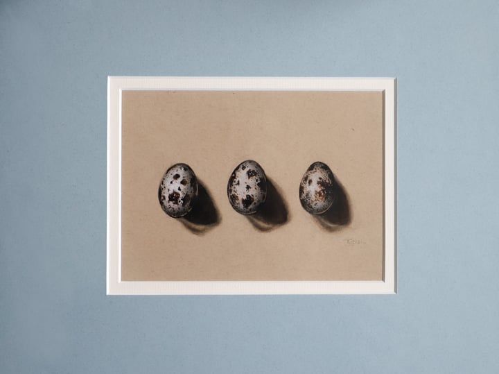 Quail Eggs