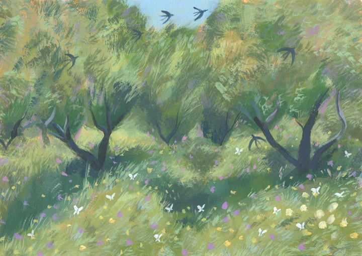 Afternoon at the Olive Grove 