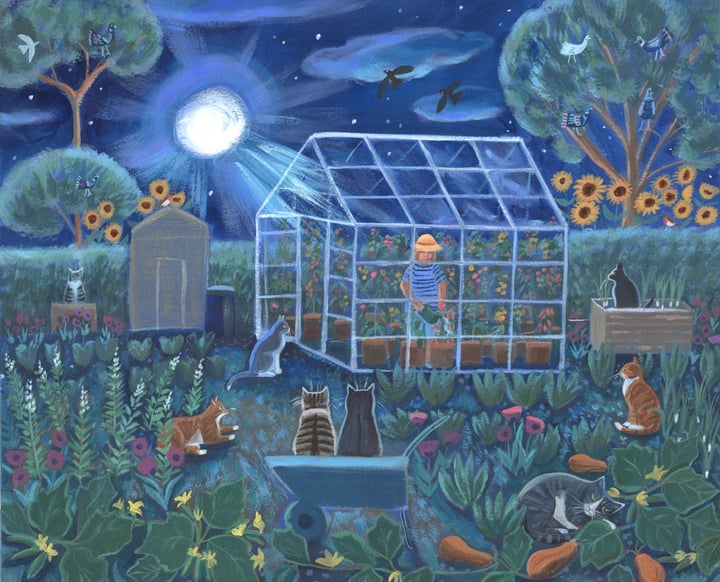 The Night Greenhouse 
