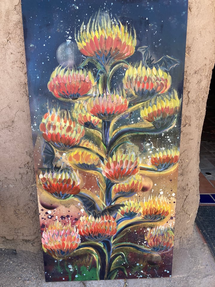 Agave Magic 