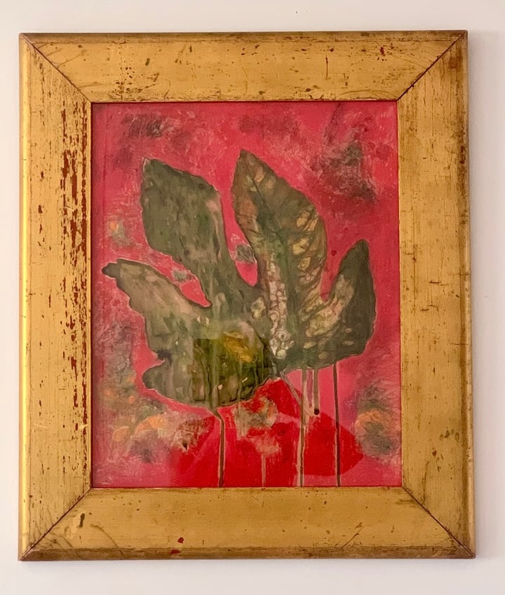Fig Leaf