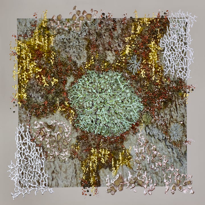Original mixed media, pigment printed photograph, gilded with coloured metal leaf, mother of pearl shell pieces Botanical, M…