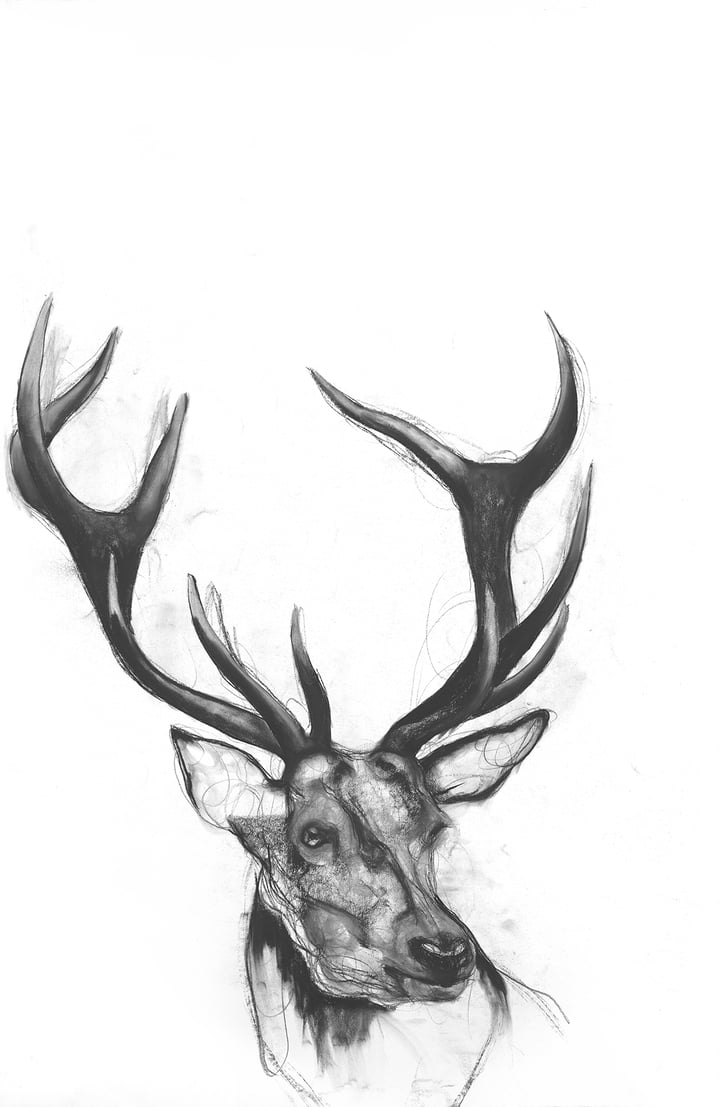 Deer Heart