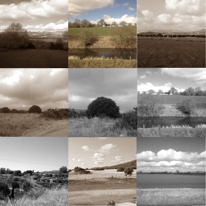 LAND