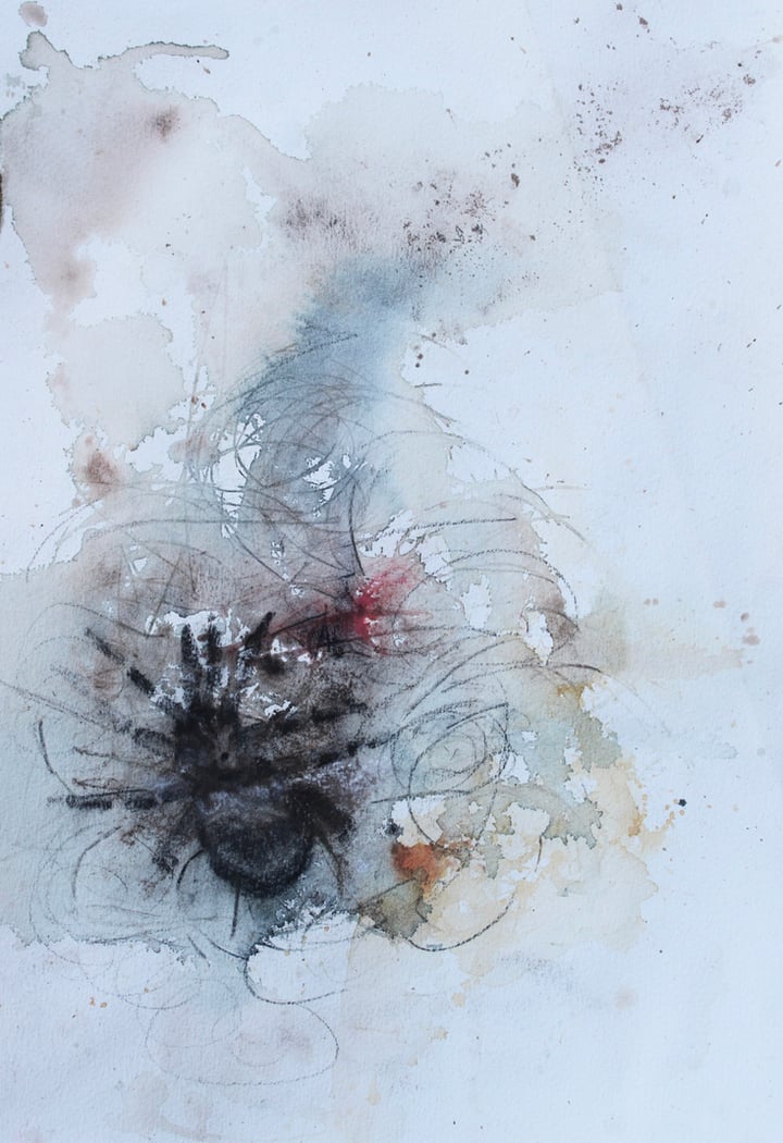 Tarantula
