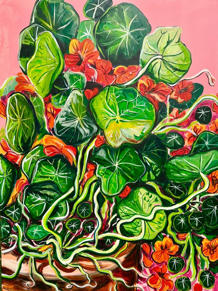 Nasturtiums