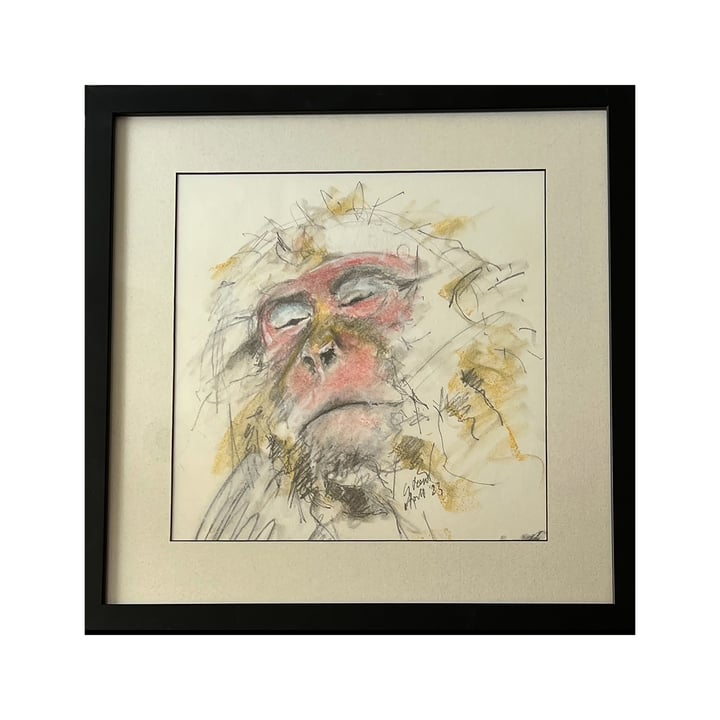 Primate 1