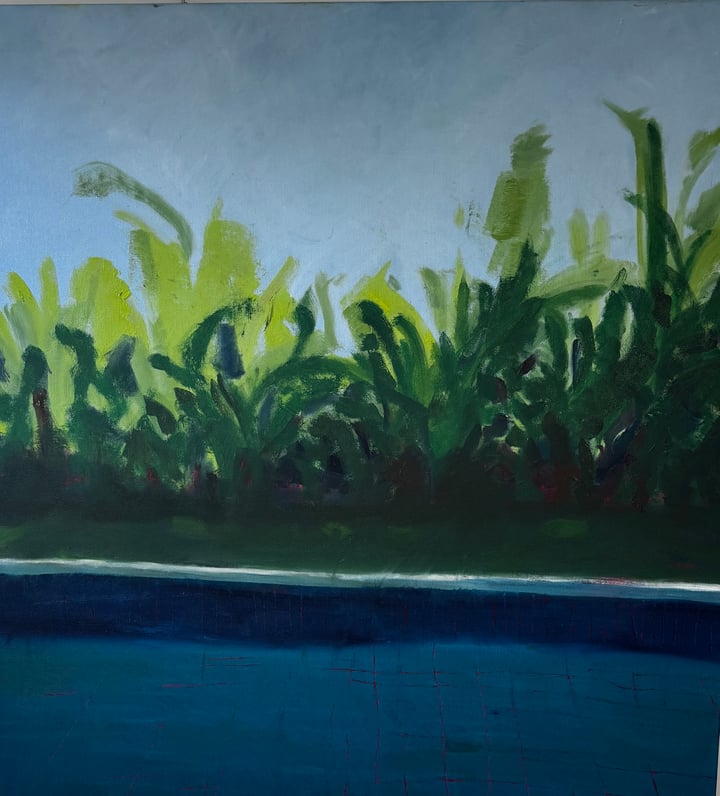 BT's Pool IV