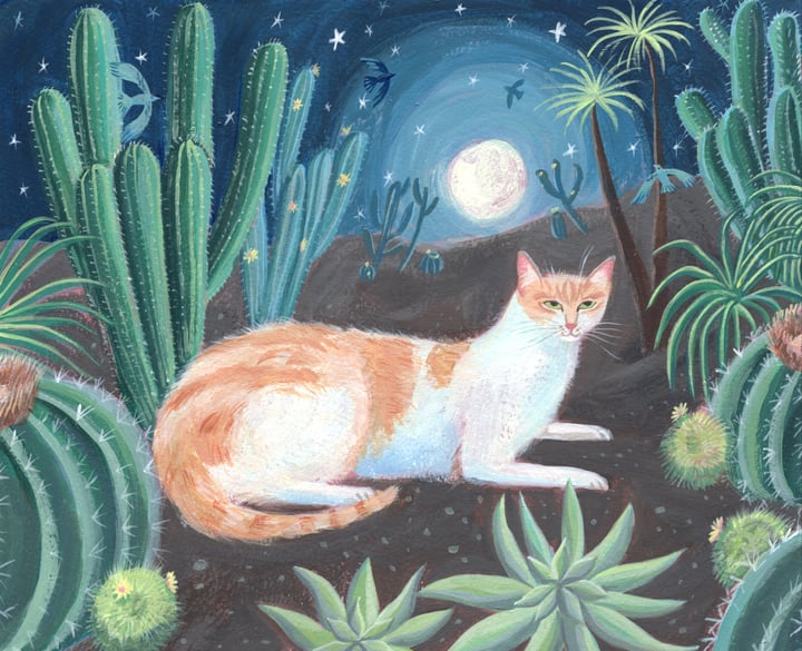 Cactus Garden Cat