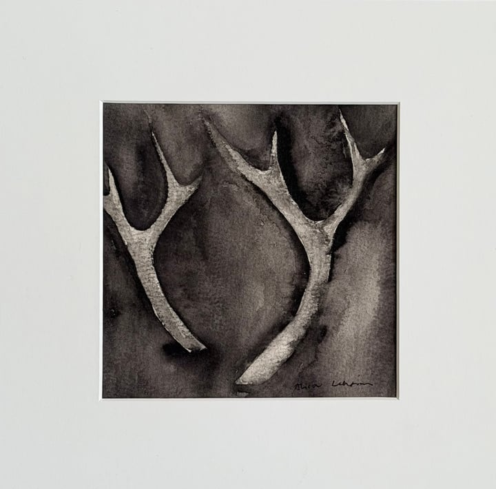 Antlers