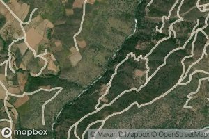 Ribeiro de Salgueiros