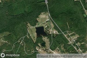 Retriever Training Pond