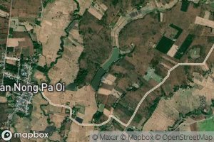 Nong Pa Oi