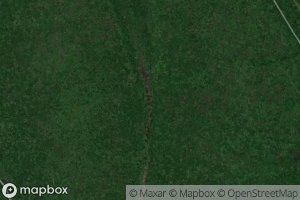 Government Cypress Slough