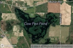 Cow Pen Pond
