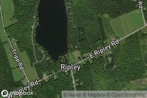 Ripley Pond