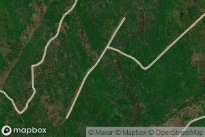 Little Portobello Stream