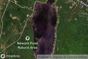 Newark Pond