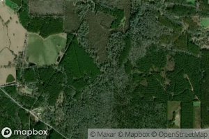 West Branch Tickfaw River