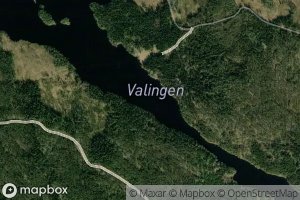 Valingen