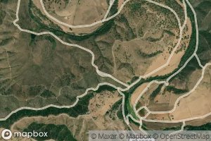 Corgo do Geraldo Pais