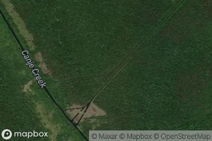 Port Mourant Water Path