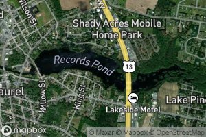 Records Pond