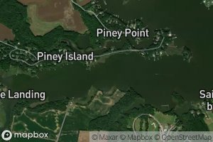 Shingle Landing Prong