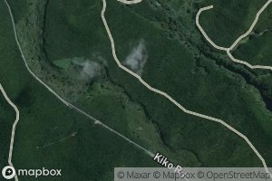 Mangakowhitiwhiti Stream