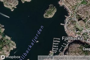 Fjallbackafjorden