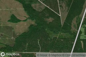 North Branch Adams Creek