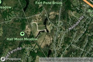 Halfmoon Meadow Brook