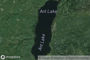 Ant Lake