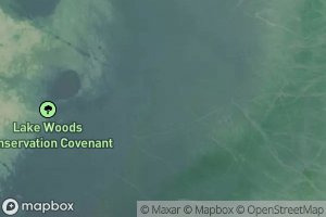 Lake Woods