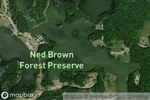 West Branch Salt Creek