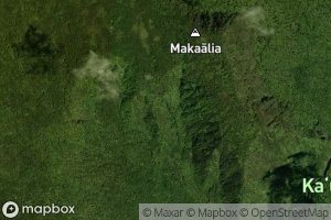 Old Plantation Spring