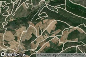 Ribeiro da Recta Falsa