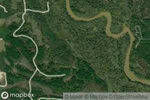 Hickory Tree Flat Slough