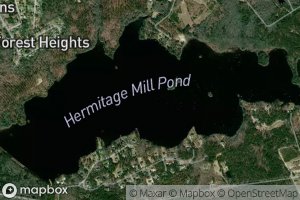 Hermitage Mill Pond