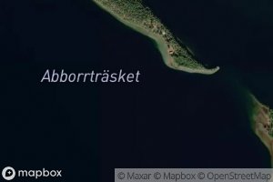 Abborrtrasket
