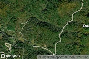 Double Bridge Branch