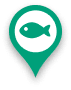 fish pin