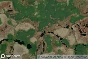 Beaver House Long Steady