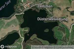 Dustersee