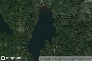 Lac des Loups des Bois