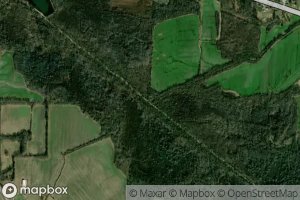 Thompson Levee Creek