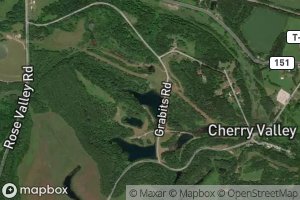 Consolidation Coal Company Pond 0207