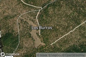 Los Burros Spring