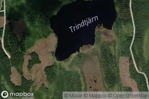 Trindtjarn