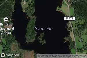 Svansjoen